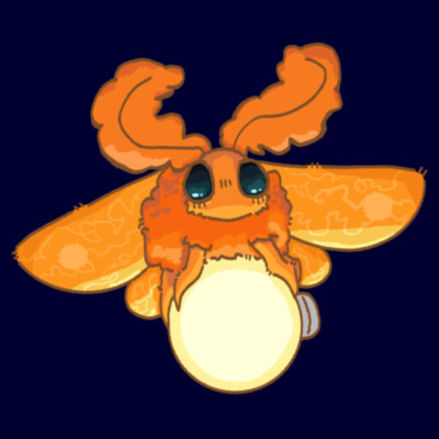 Light Seeker / Youth classic tee Design