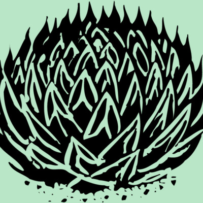 Plants Thumbnail